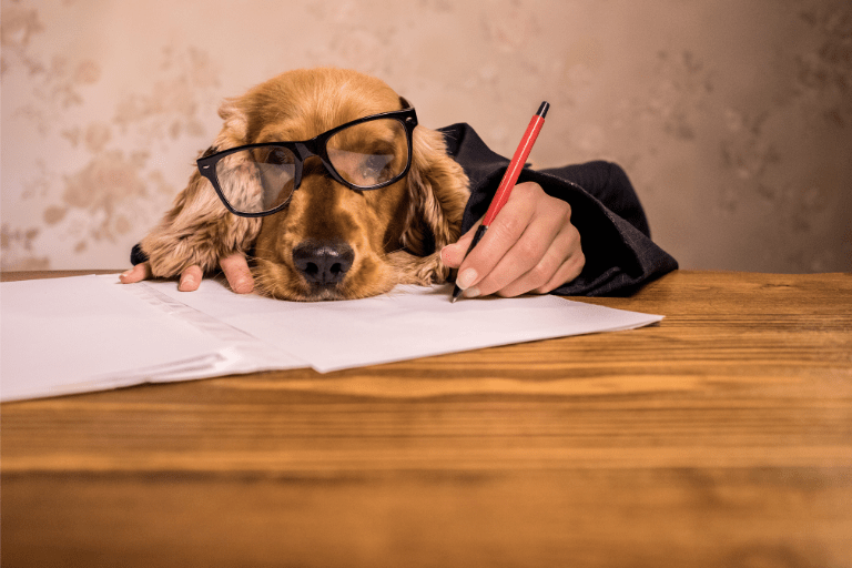 Excellent Credit Score, Declined for Credit Yes, It Happens to Your