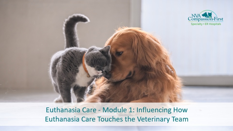 Euthanasia Care Module 1 Influencing How Euthanasia Care Touches the