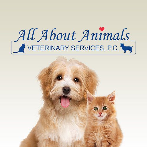 Vet Clinic in Carrollton & Villa Rica Area, GA Animal Hospital