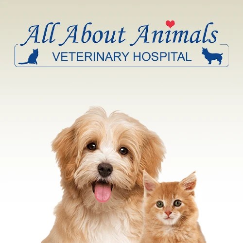 Vet Clinic in Carrollton & Villa Rica Area, GA Animal Hospital