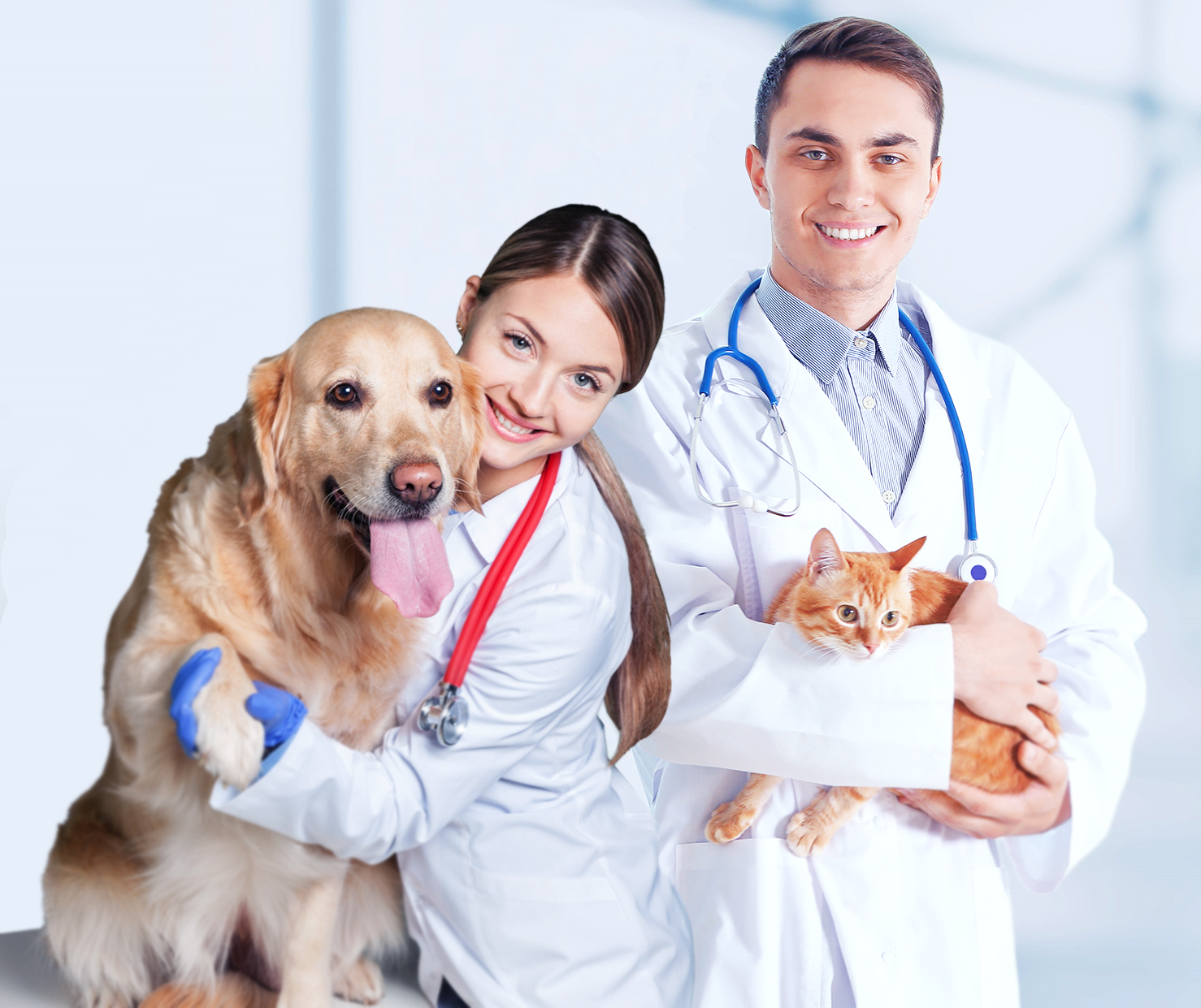 Veterinarians Holding Dog and Cat VetClassics