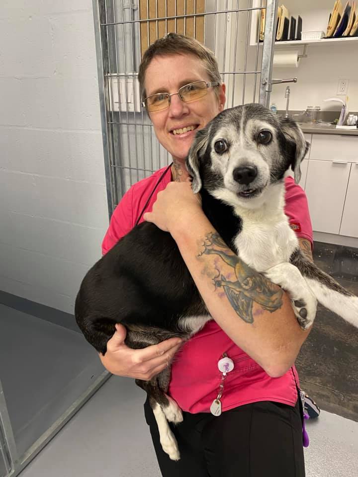 sudbury animal hospital staff Stunner Microblog Sales Of Photos