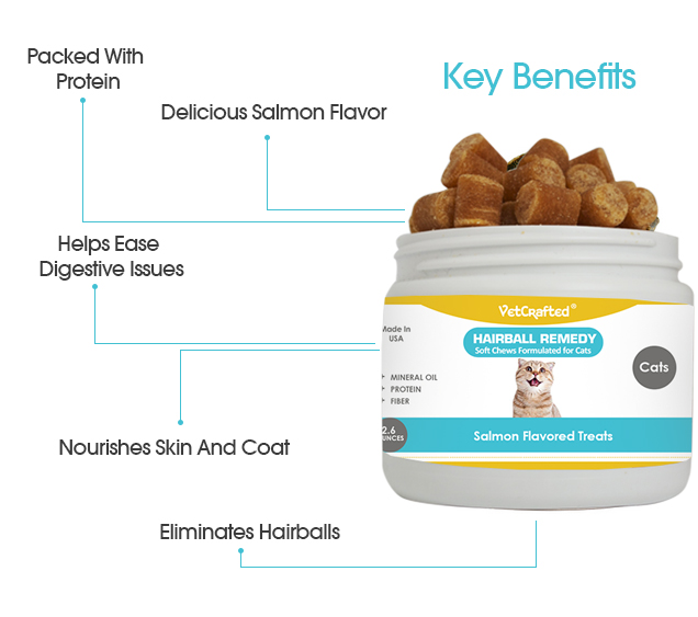 Hairball Remedy VetCrafted Quality Vitamins & Supplements For Dogs