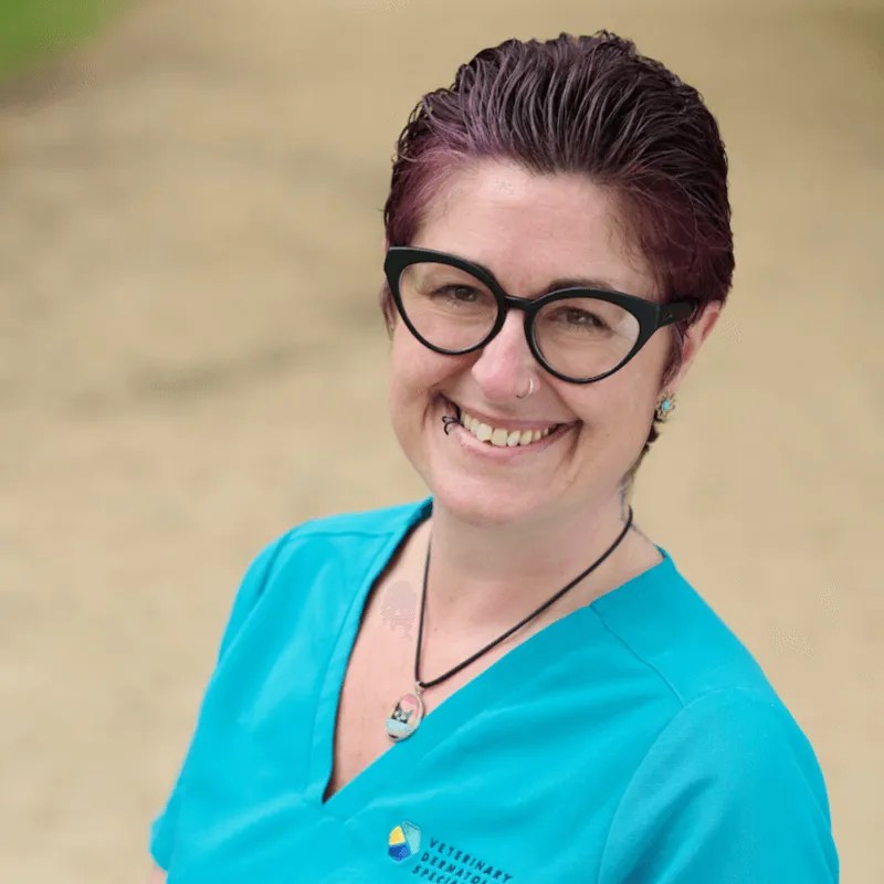 Vet Derm Nurses Veterinary Dermatology Specialists