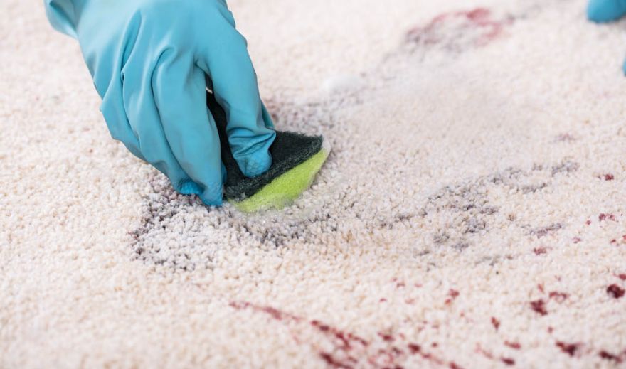 Carpet Stain Removal Veteran Carpet and Tile Cleaning