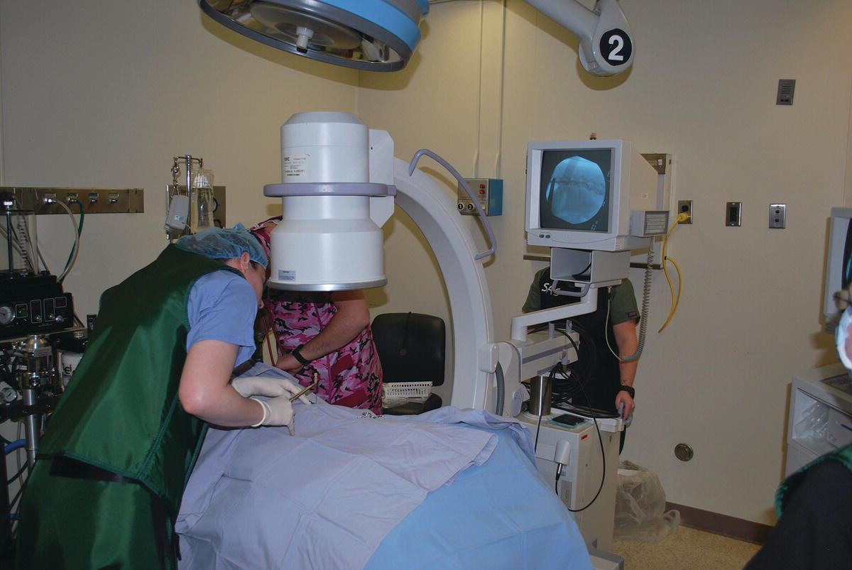 Laser Disc Ablation Dogs Cost Laser Surgery For Dogs › Triple Dog Film