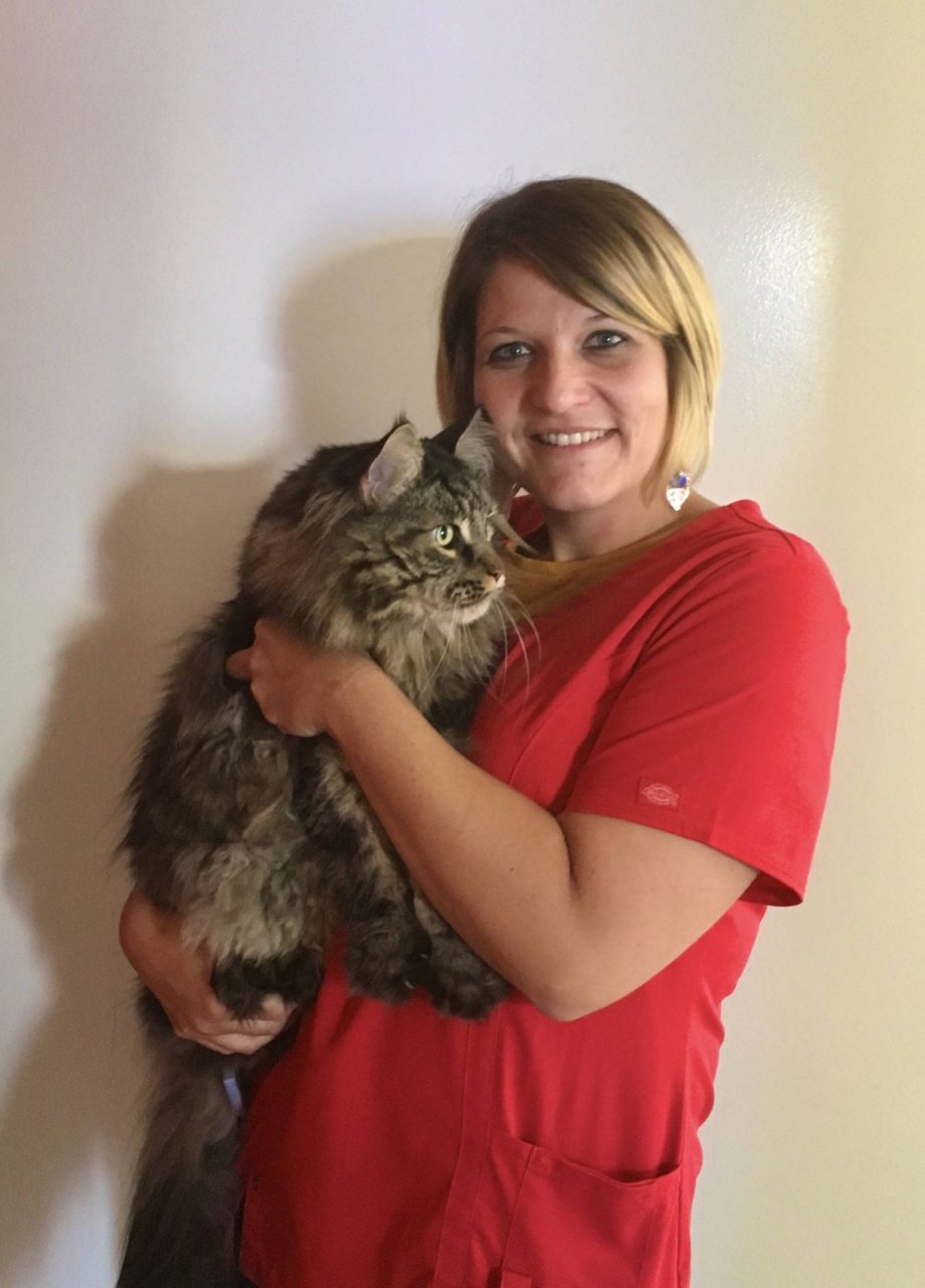 Clinique vétérinaire de la Chiers