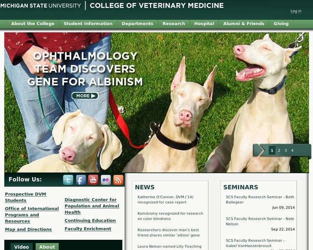 College of Veterinary Medicine at Michigan State University