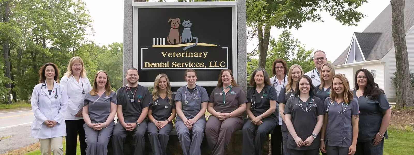 Animal Dental Care in Boxborough Veterinary Dental Services
