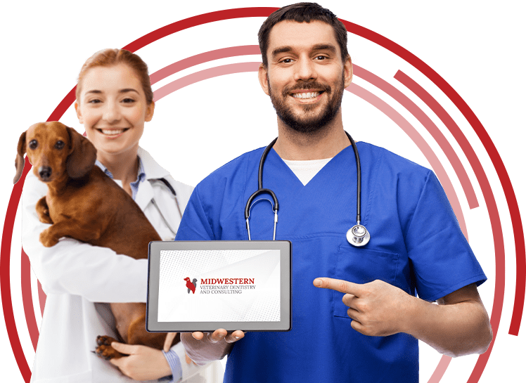 Dental Lectures Midwestern Veterinary Dentistry