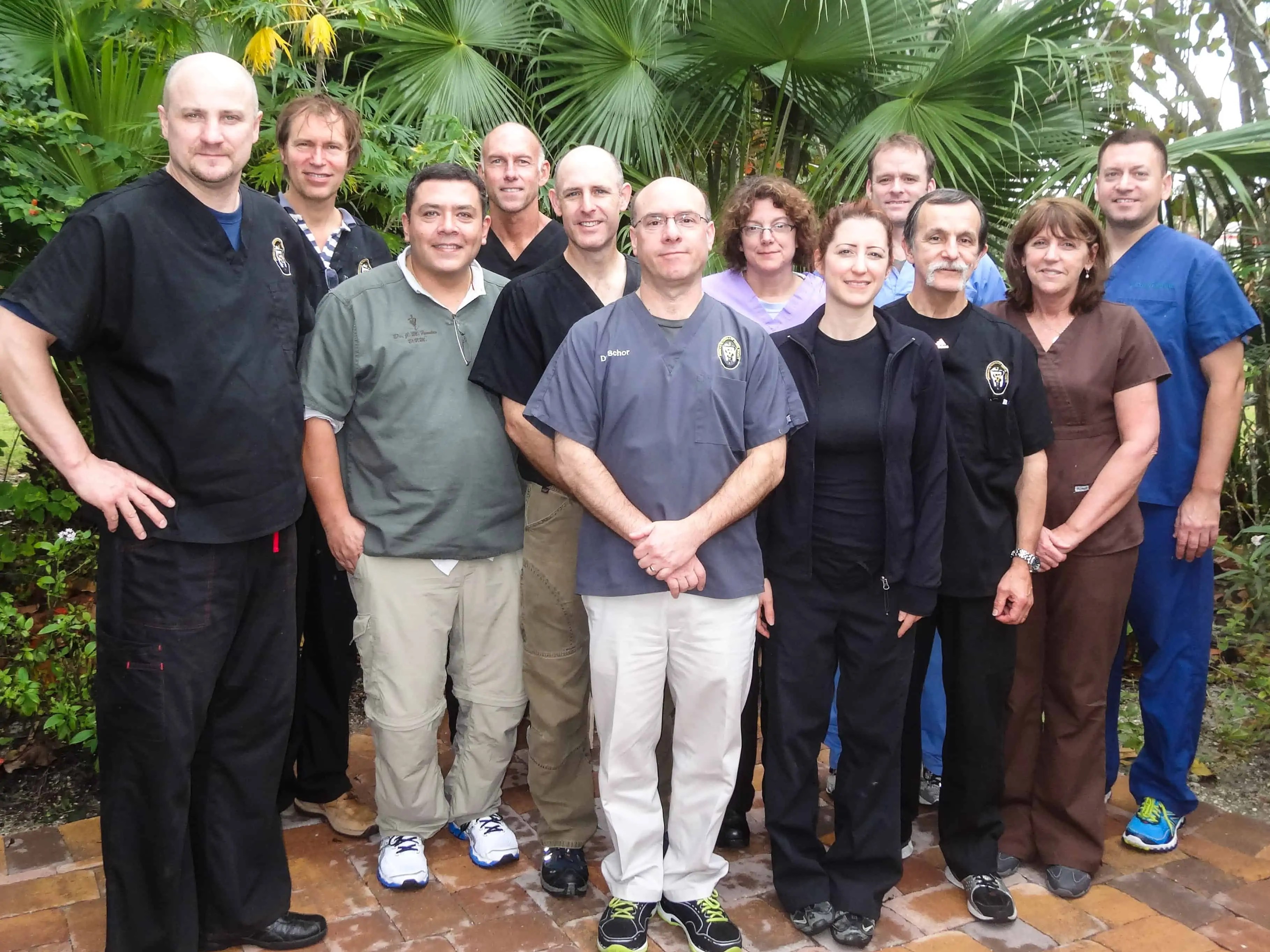 Veterinary Dentistry Mock Examination 2020