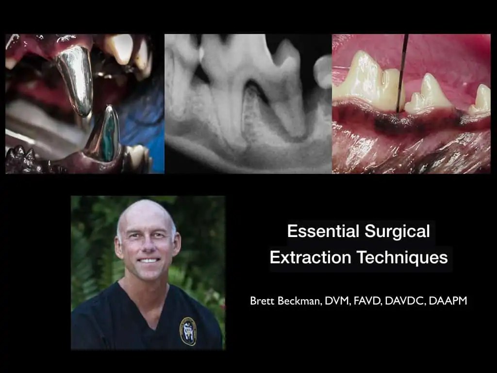 New Page for Sat Lab