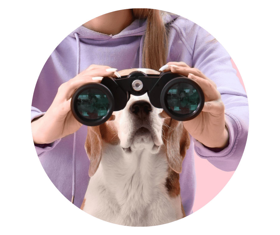 Your Audience is Bigger Than You Think! The Power of Lurkers and Views