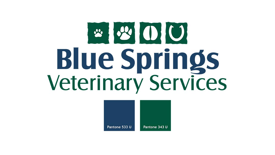 Choosing Your Colors Veterinary Logos
