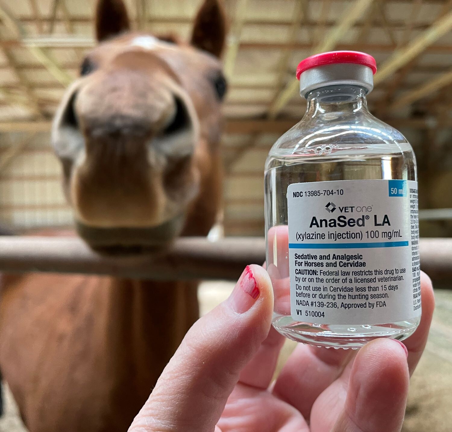 Patchwork effort to curb illicit use of xylazine raises concerns News