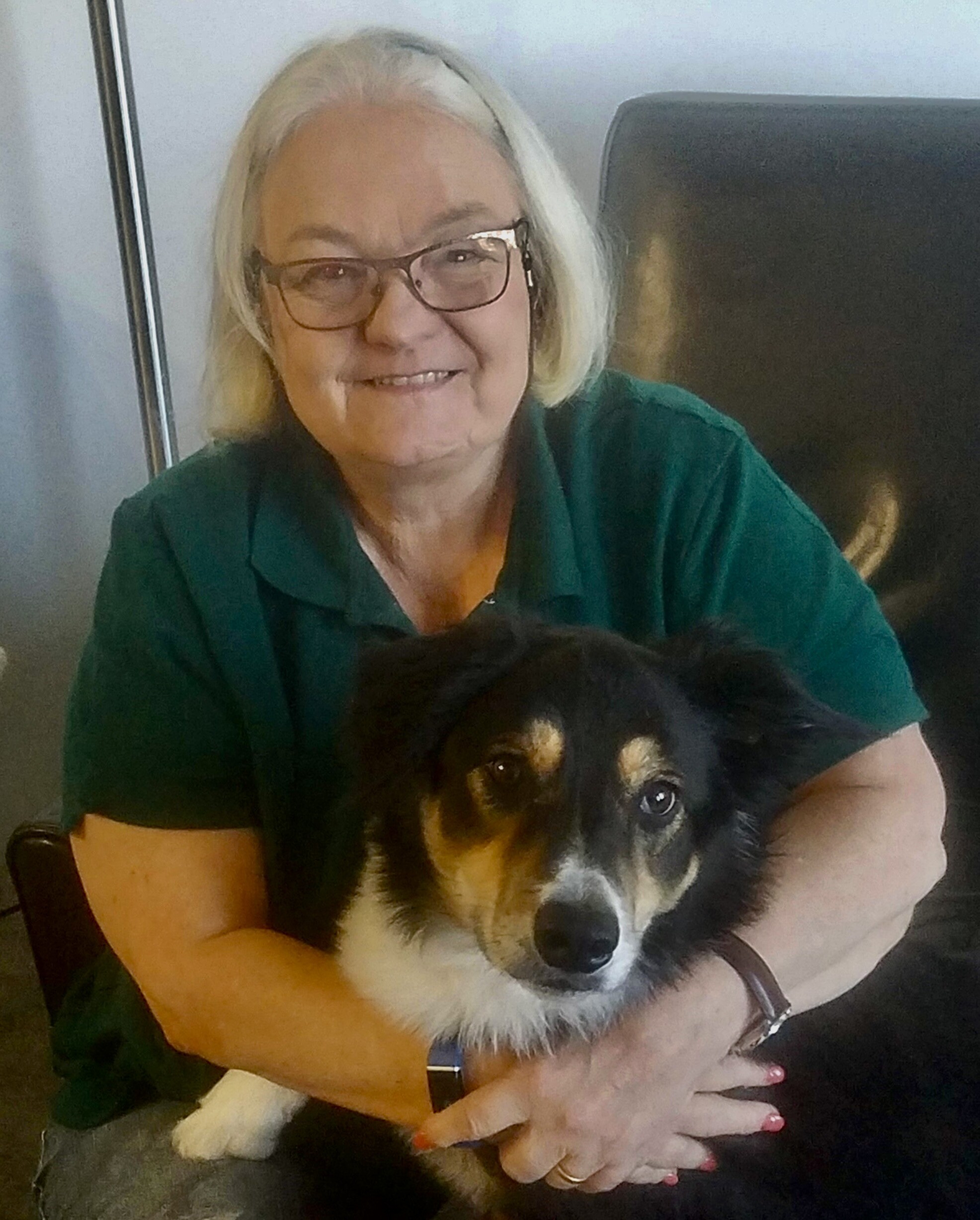 Veterinary Partner VIN