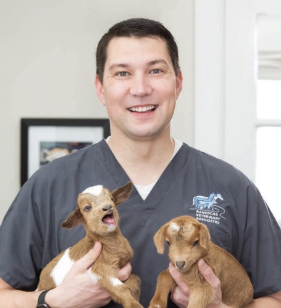Veterinary Partner VIN