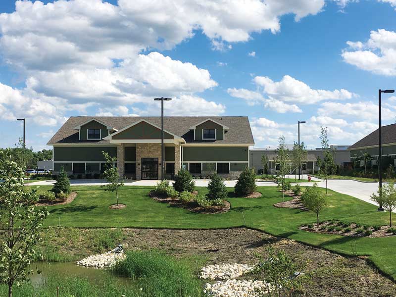 First and lasting impressions Veterinary Practice News