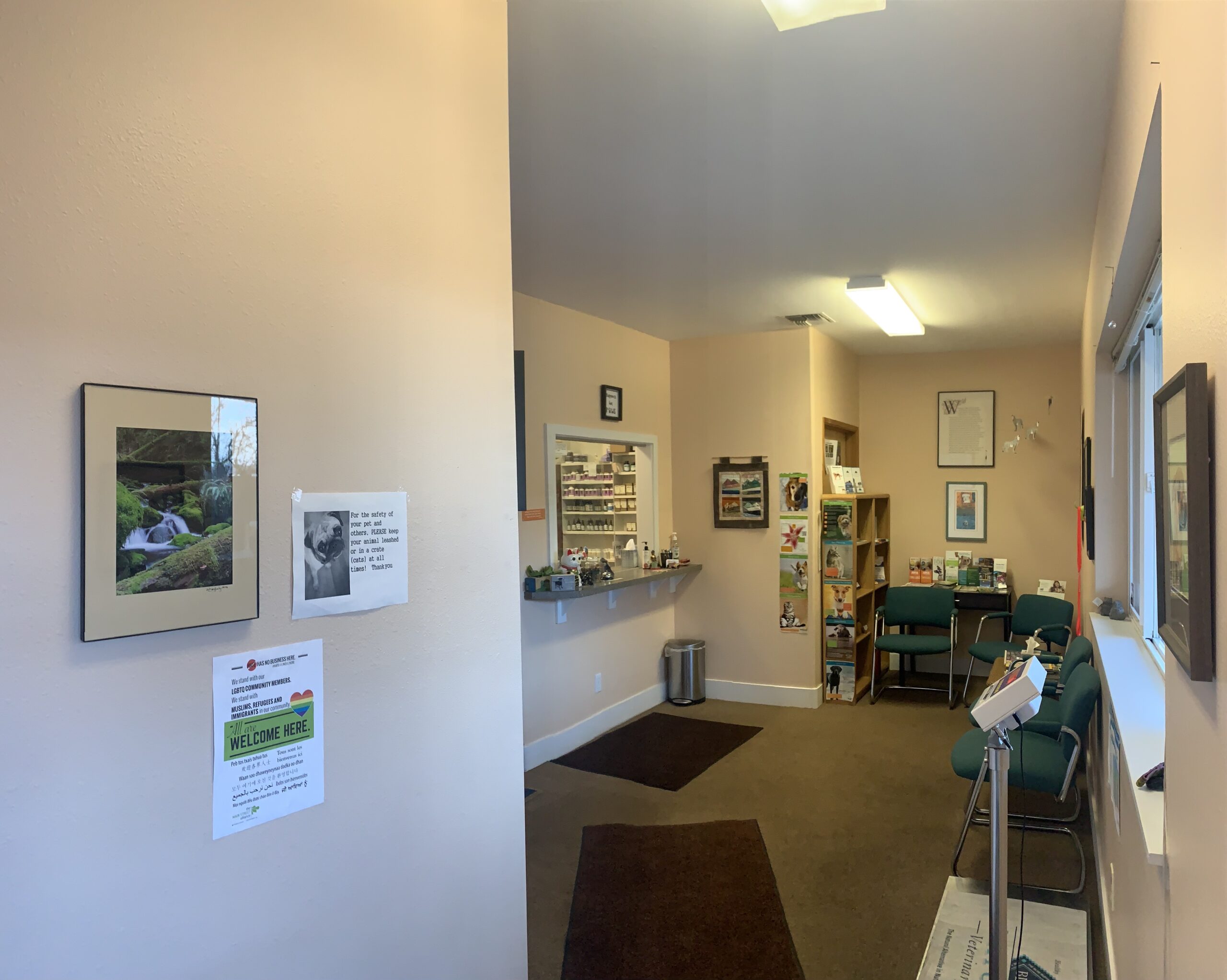 Four Paws Wellness Center Veterinary Practice Transition