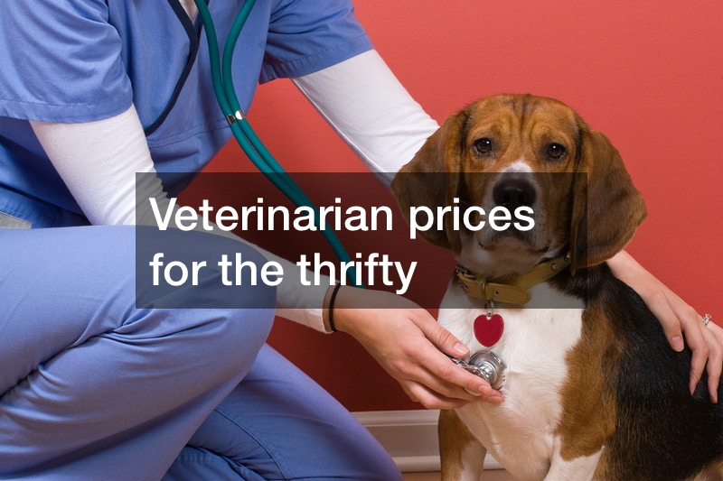 Veterinarian prices for the thrifty Veterinary Prices