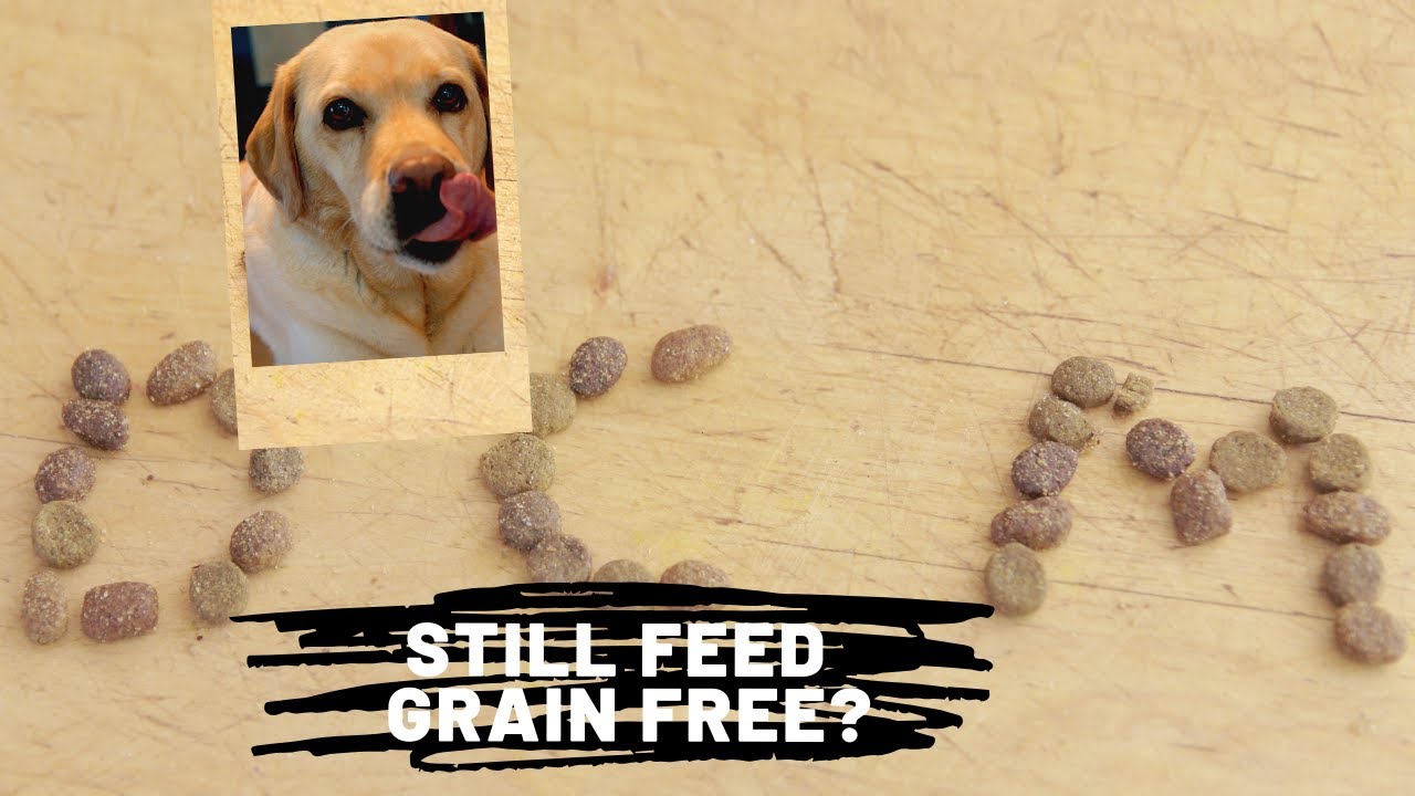 DCM (Heart Disease) and Dog Food Update Veterinary Secrets with Dr