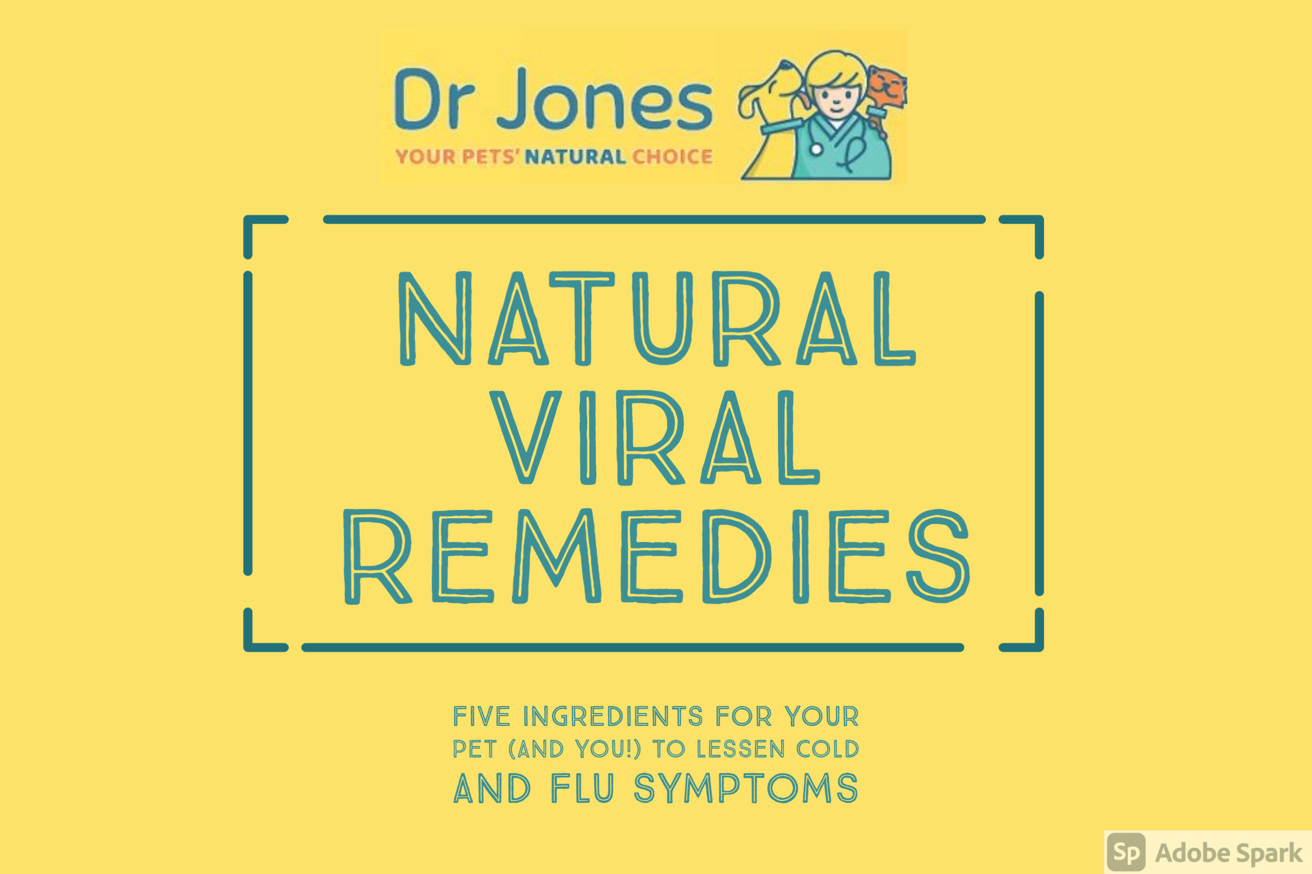 Natural Virus Remedies Veterinary Secrets with Dr. Andrew Jones, DVM