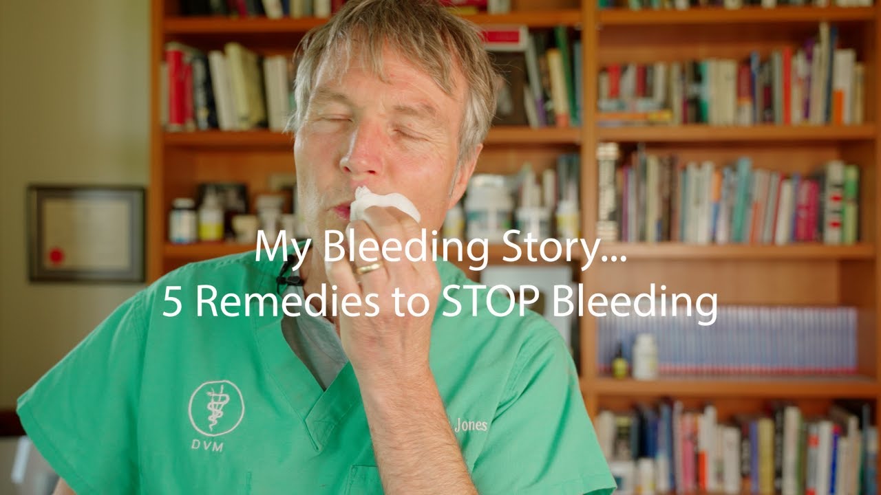My Blood Loss Event 5 Ways To Stop Bleeding At Home Veterinary