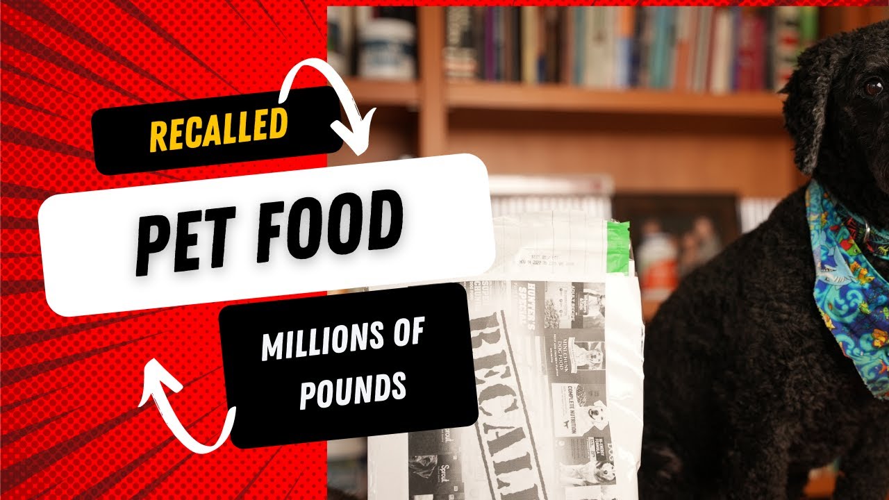 300 Million Pounds of Recalled Pet Food Veterinary Secrets with Dr