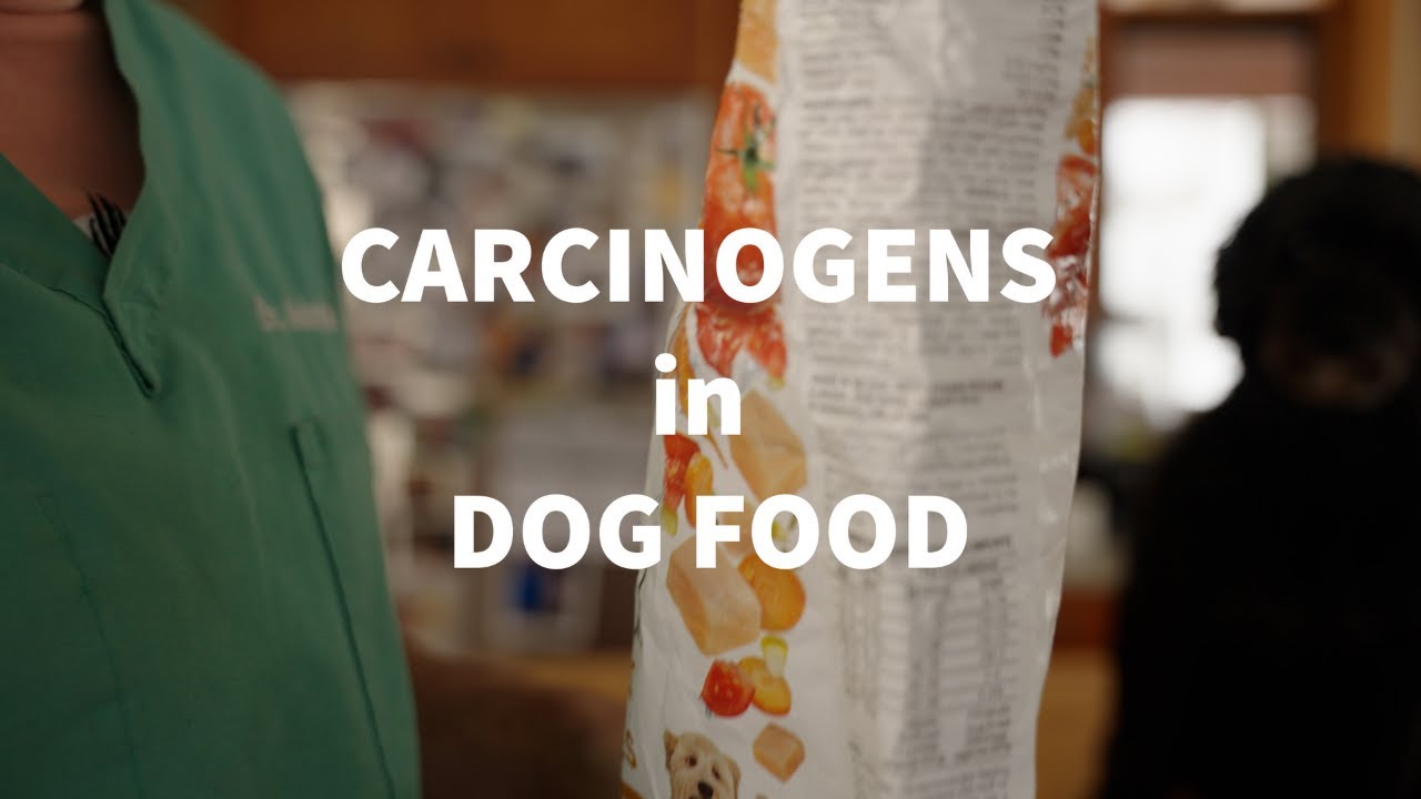 Carcinogens in Dog Food Veterinary Secrets with Dr. Andrew Jones, DVM