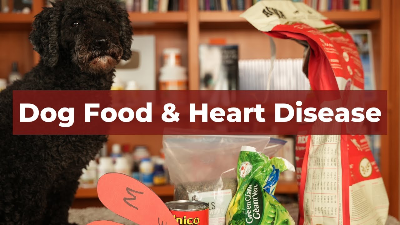 Veterinary Secrets with Dr. Andrew Jones, DVM