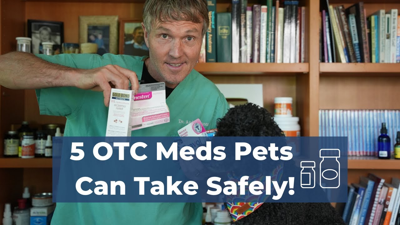 VetApproved 5 OTC Meds That Can Save Your Pet's Day Veterinary