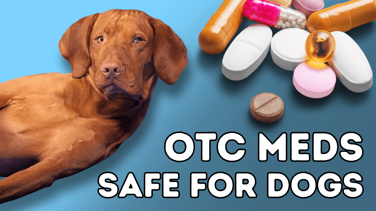 7 topical OTC meds for Dogs Veterinary Secrets with Dr. Andrew Jones, DVM