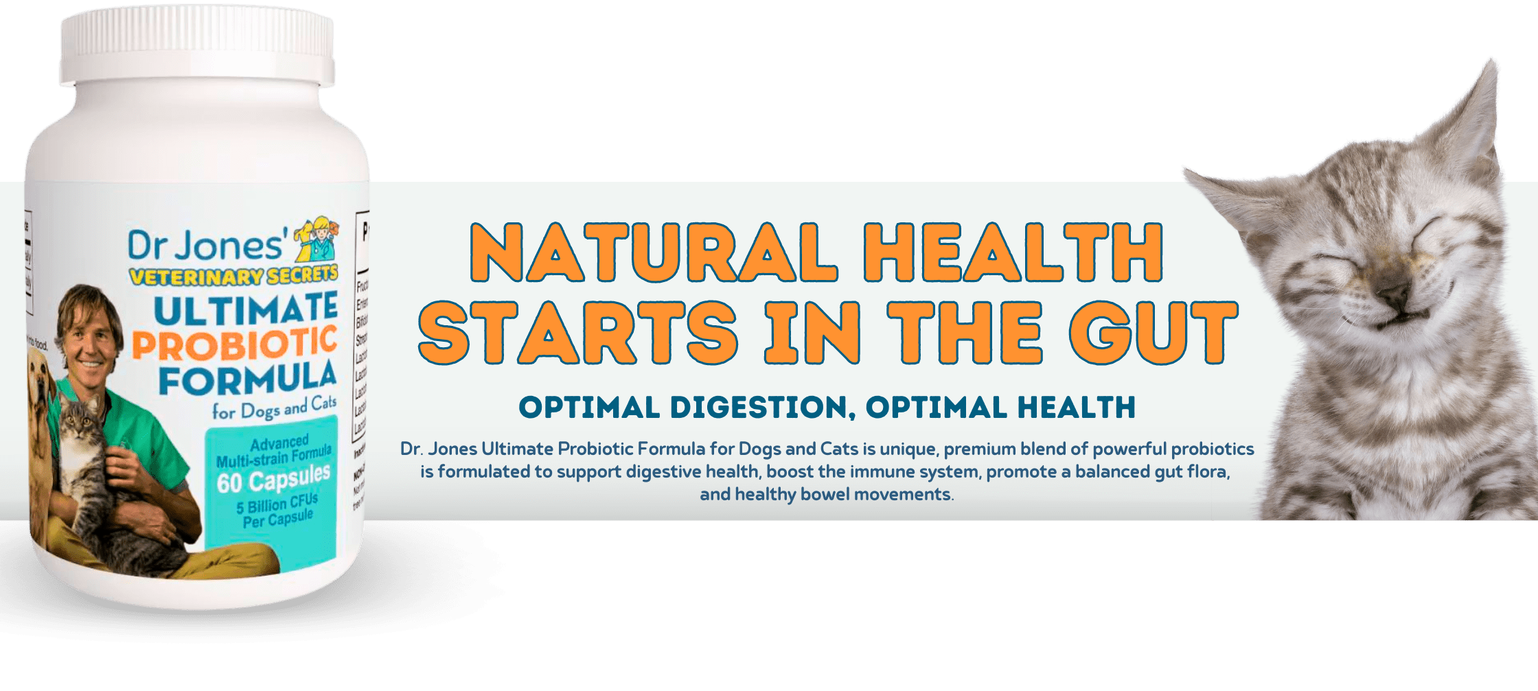 How Probiotics Can Transform Your Pet’s Dental Health Veterinary