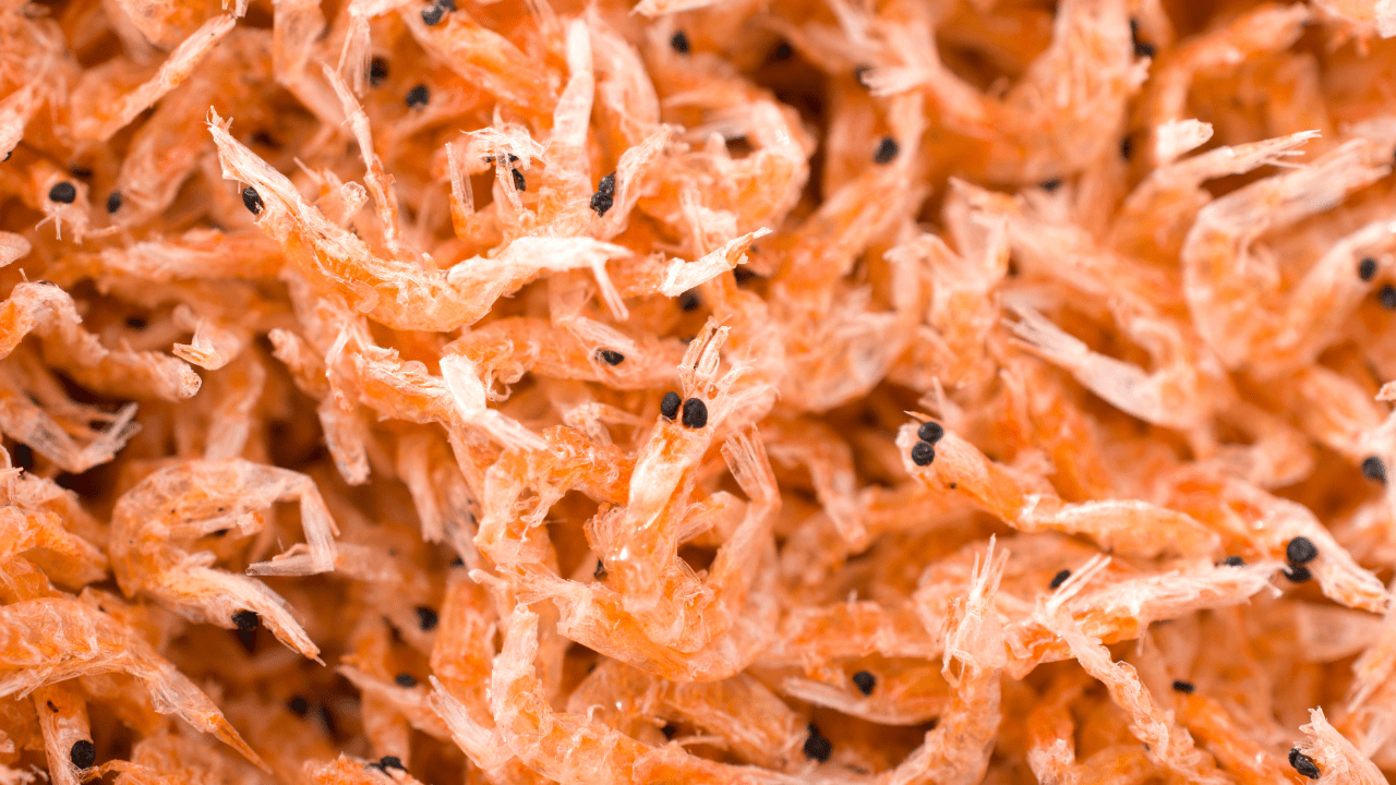 Are Essential Fatty Acids Safe for Cats and Dogs? Veterinary Secrets