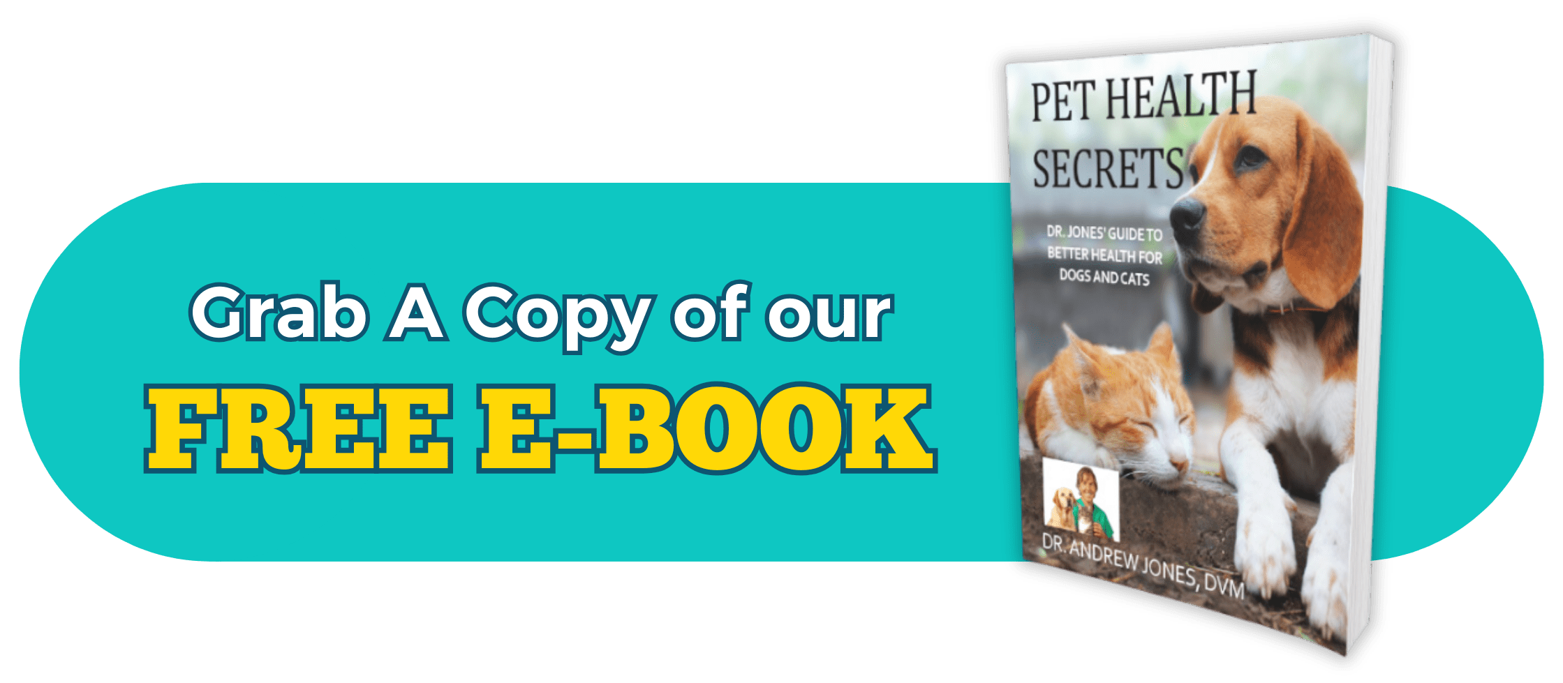 Mystery Dog Illness spreading in the United States these remedies may