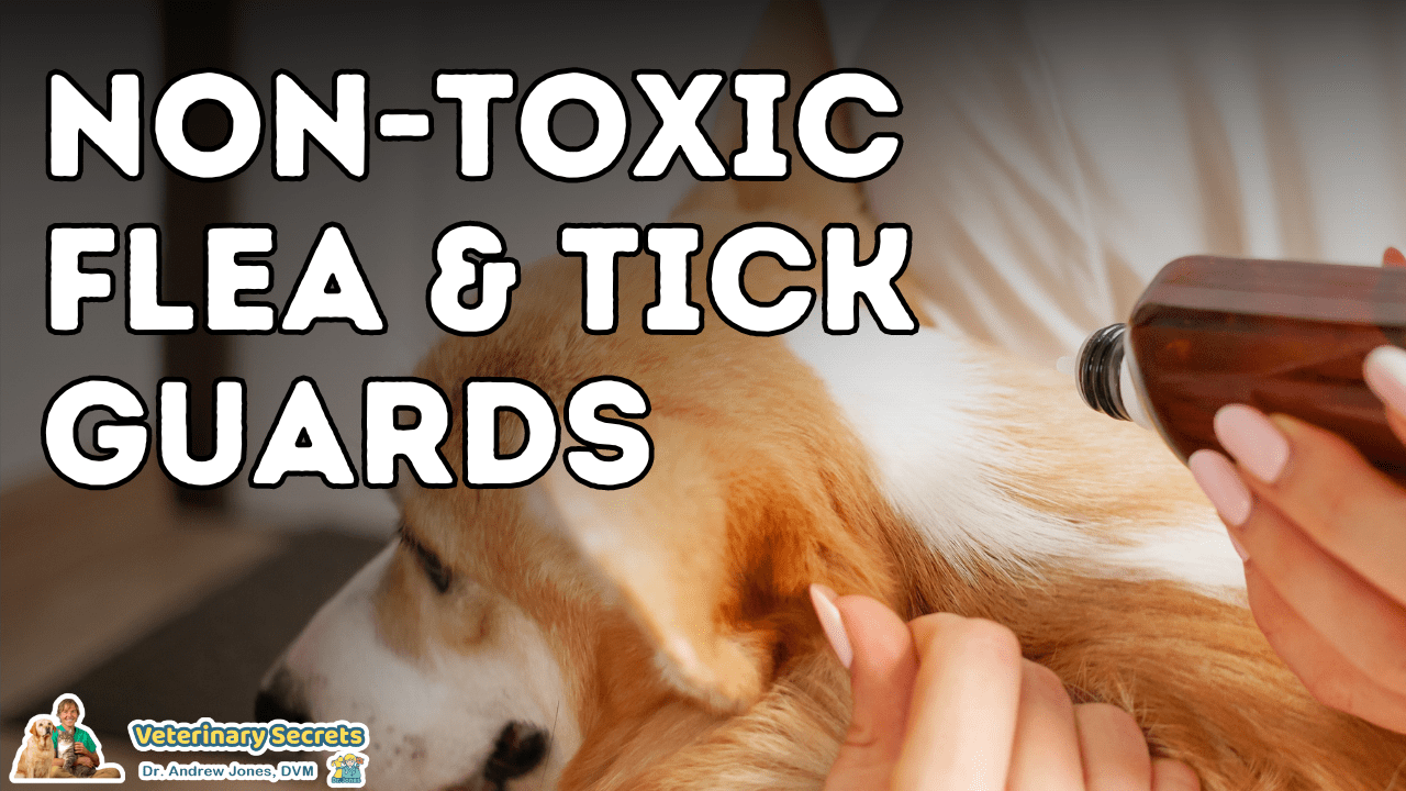 NonToxic Flea and Tick Guards, plus Dr. Jones' new Homemade Flea Spray