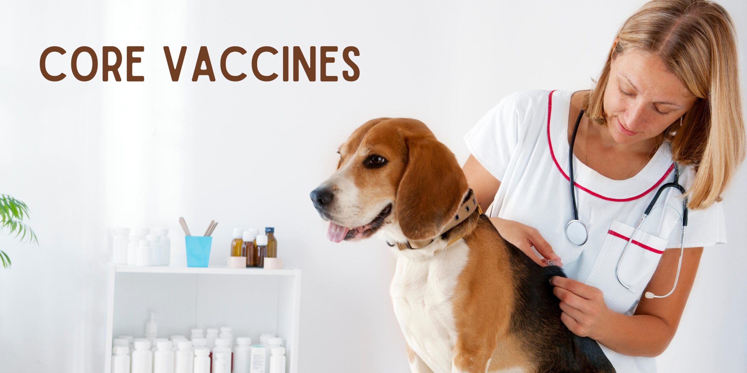 Core vaccines for dogs Veterinary Space
