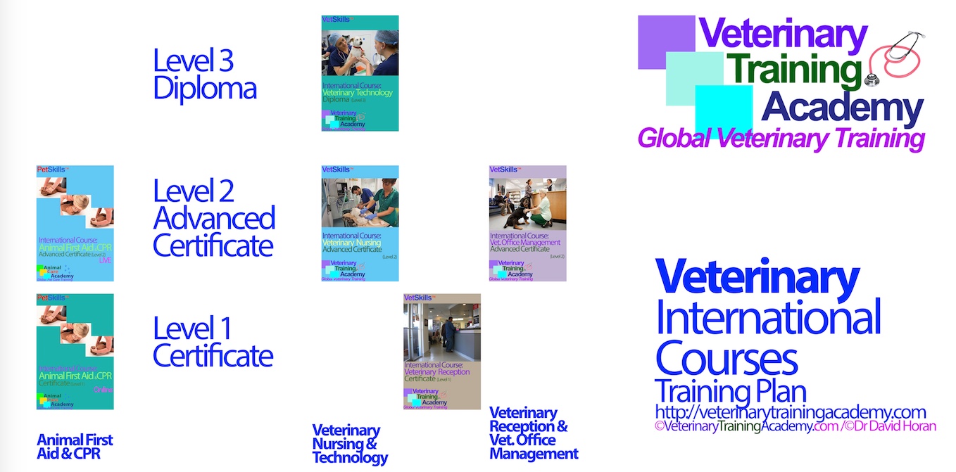 Veterinary Training Plan Animal Care Academy