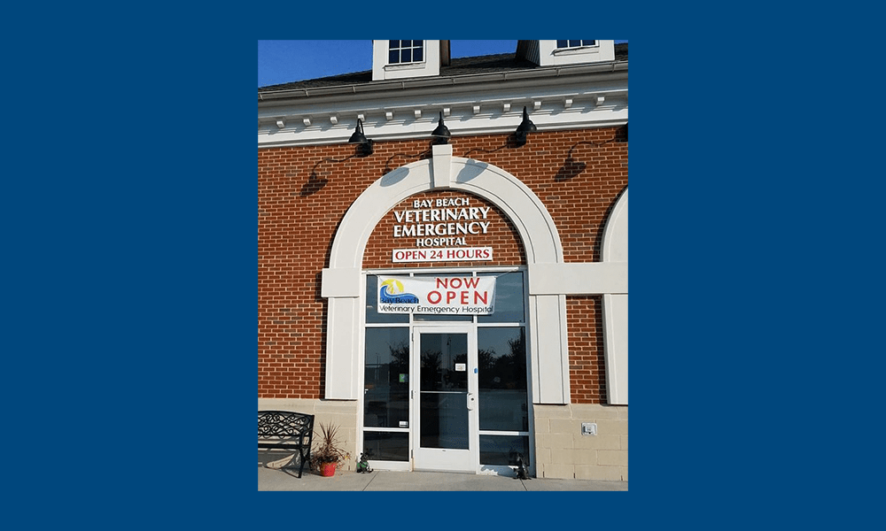Bay Beach Veterinary Emergency Hospital Veterinary Practice