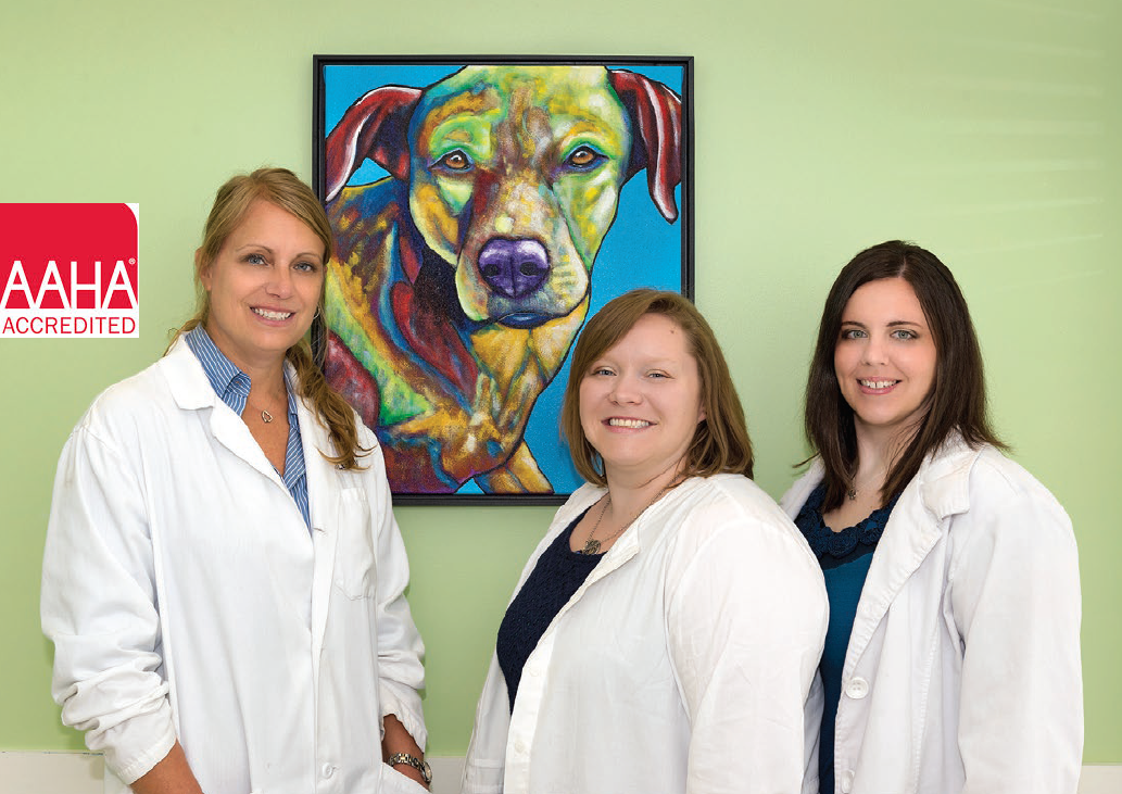 Brandermill Animal Hospital Veterinary Practice Acquisitions & Veterinary Investments VetEvolve