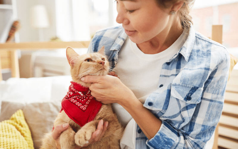 DNA tests of diseases in cats GenEra, SIA