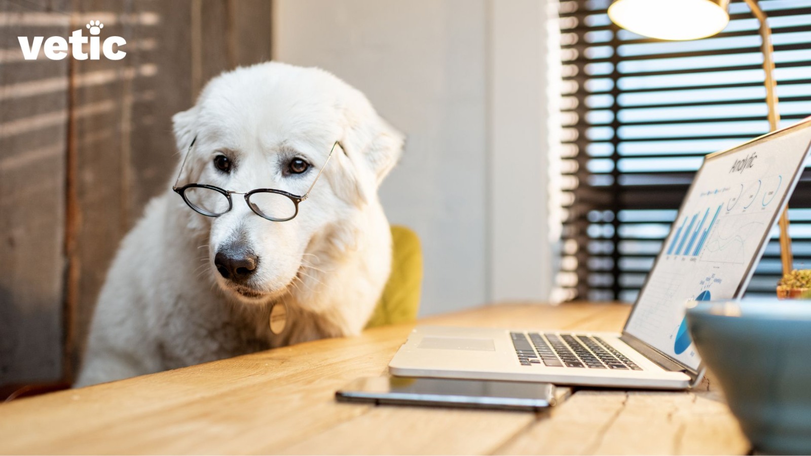 Take Your Pet to Work Complete Guide