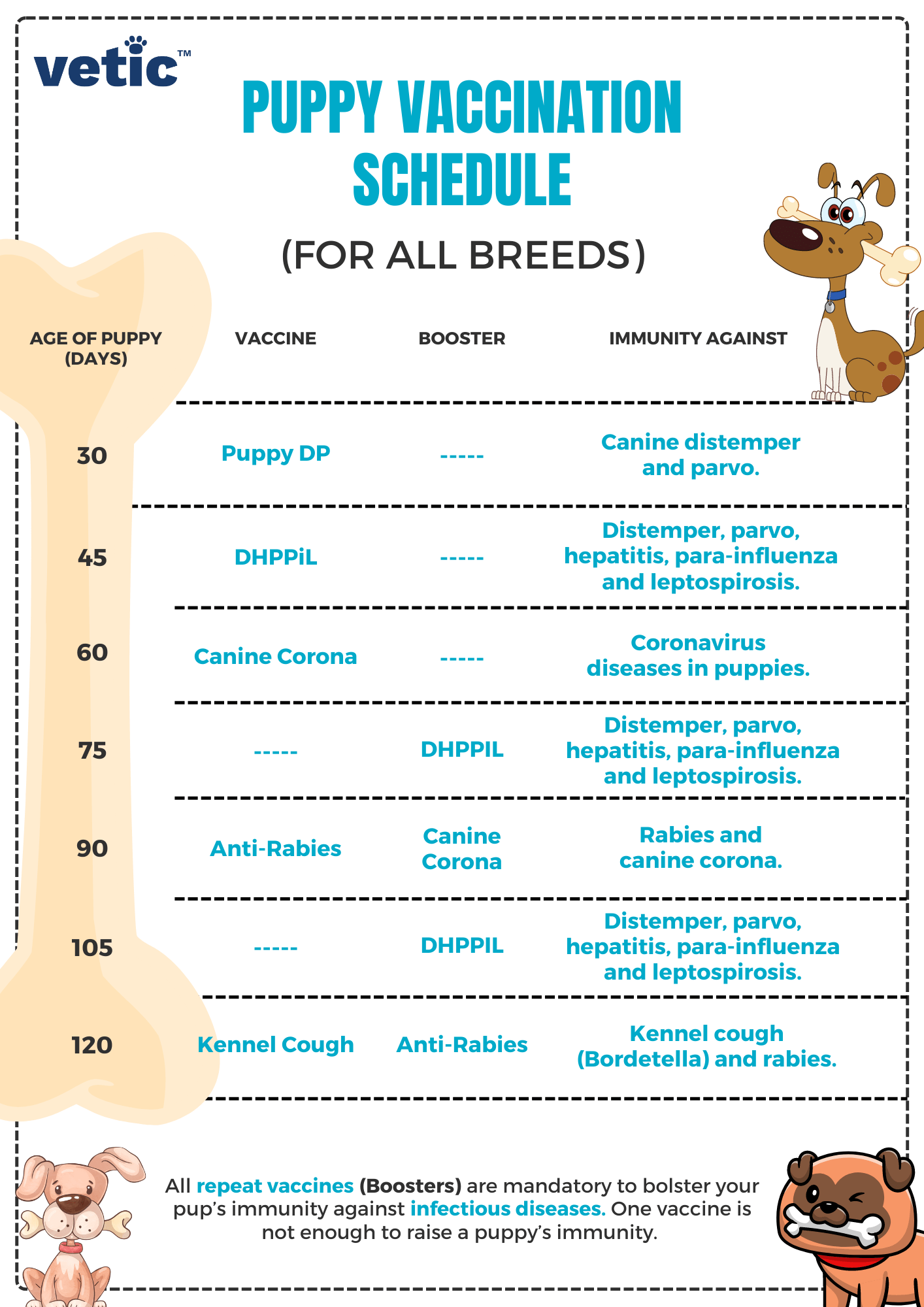 Schedule of Mandatory Vaccines for Dogs and Puppies in India