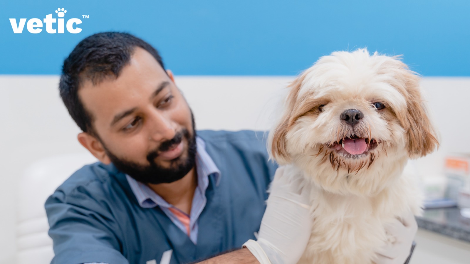 Dog Vitamins and Supplements Does My Dog Need Supplements?