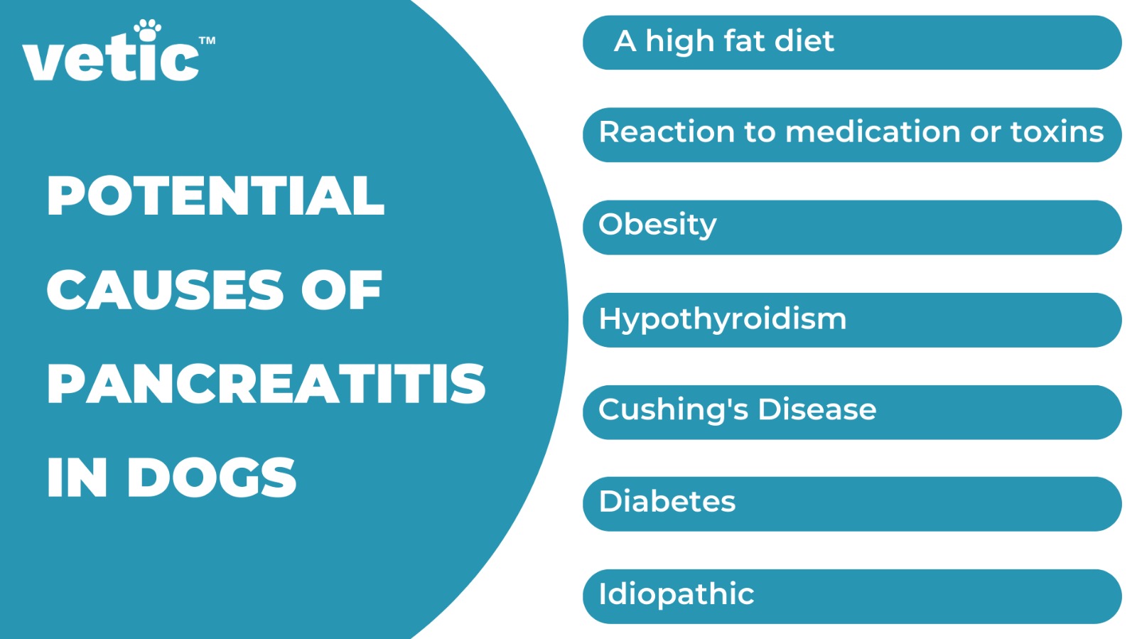 What is Pancreatitis in Dogs? Causes, Signs and Treatment