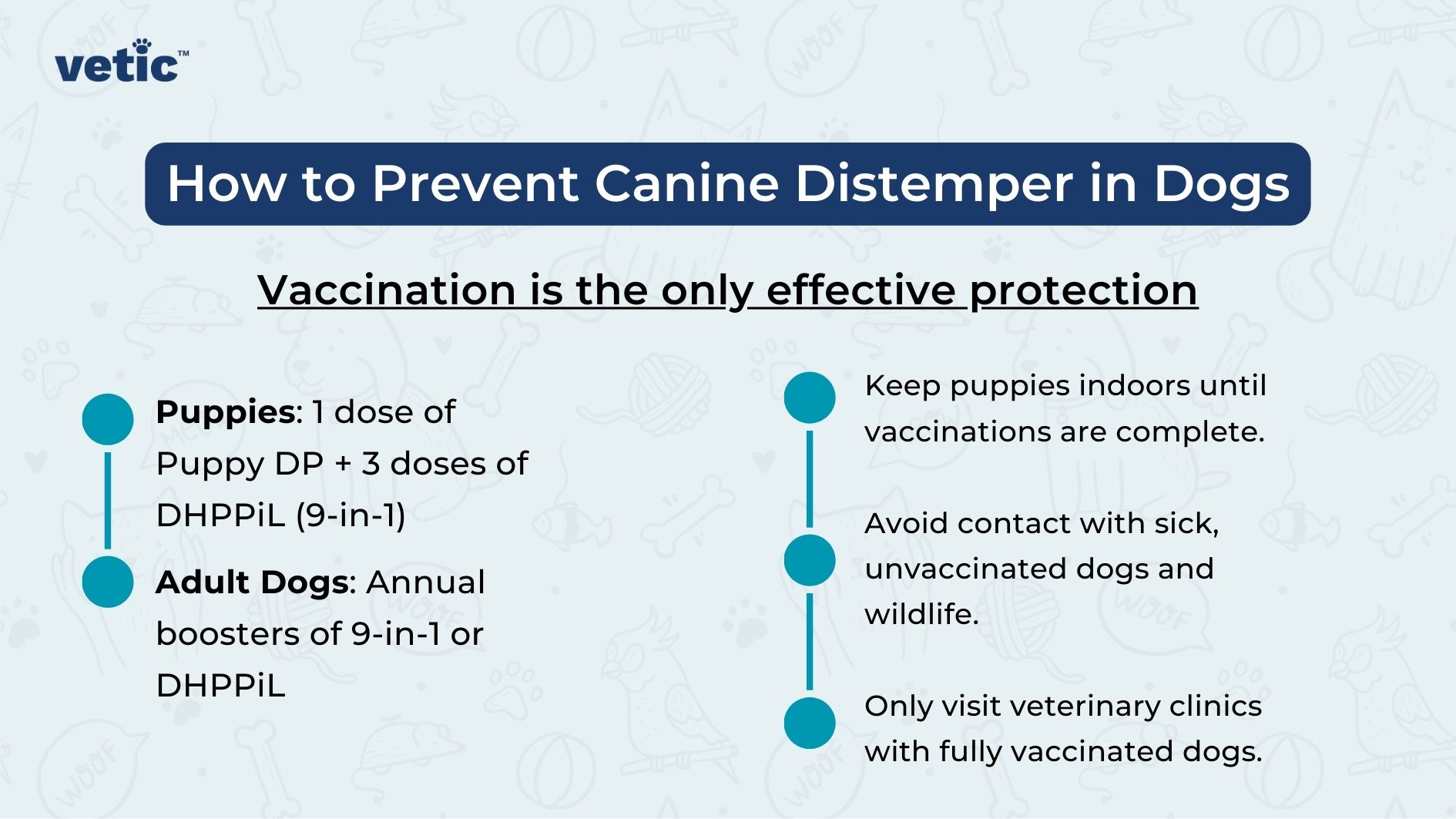 Canine Distemper Signs and Symptoms of Distemper in Dogs