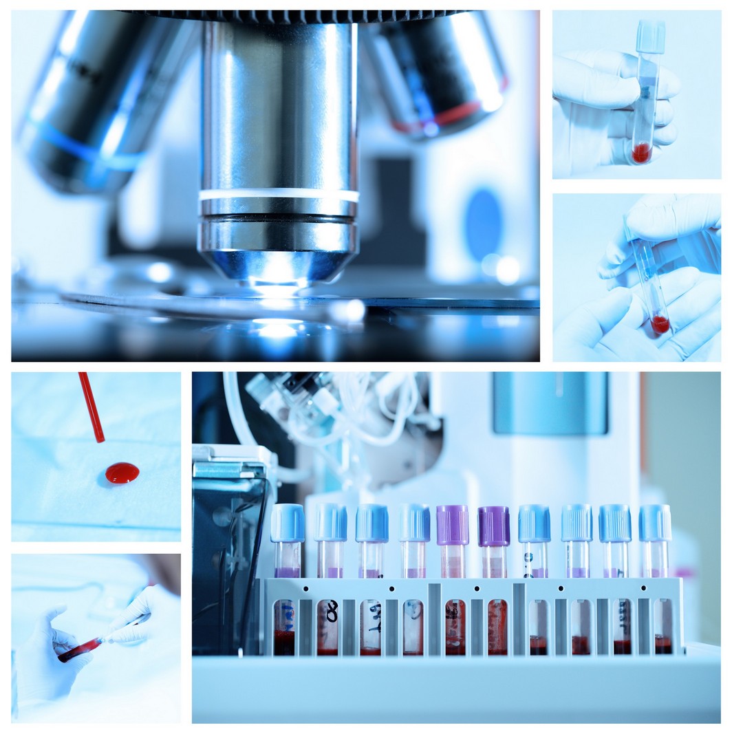 Veterinarian Inhouse Labs in Beaumont, TX All Paws Veterinary Clinic