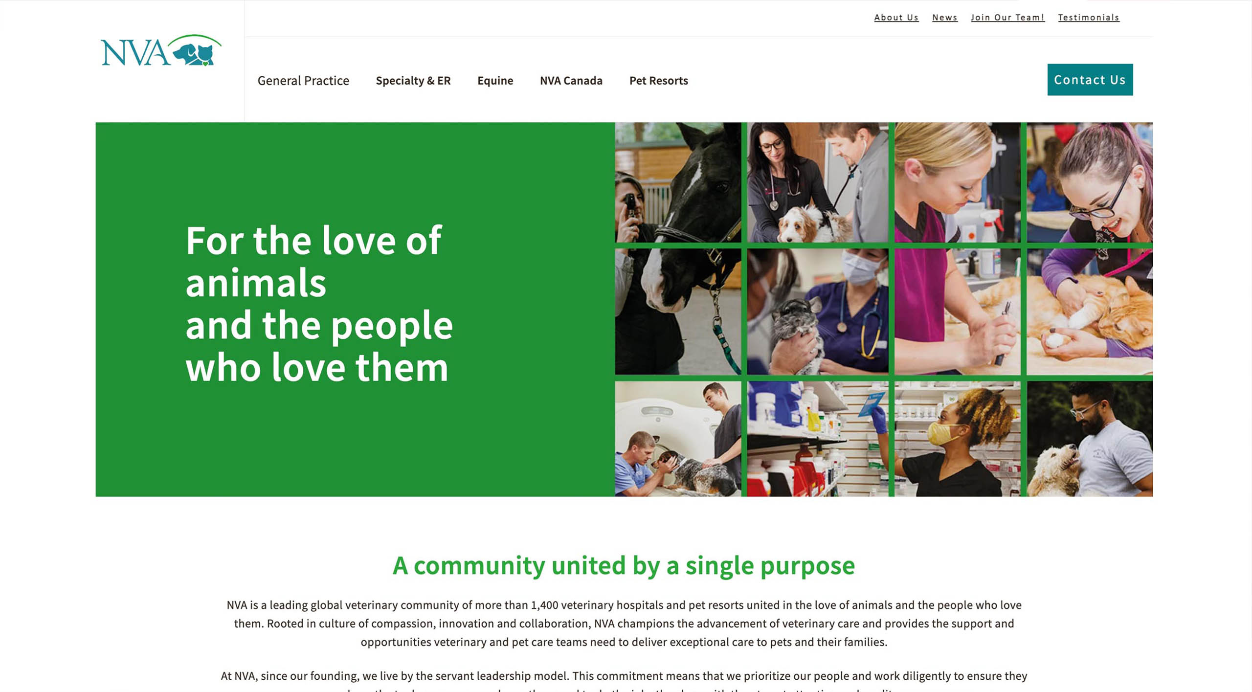 Roll Call North America’s Biggest Veterinary Consolidators and Groups