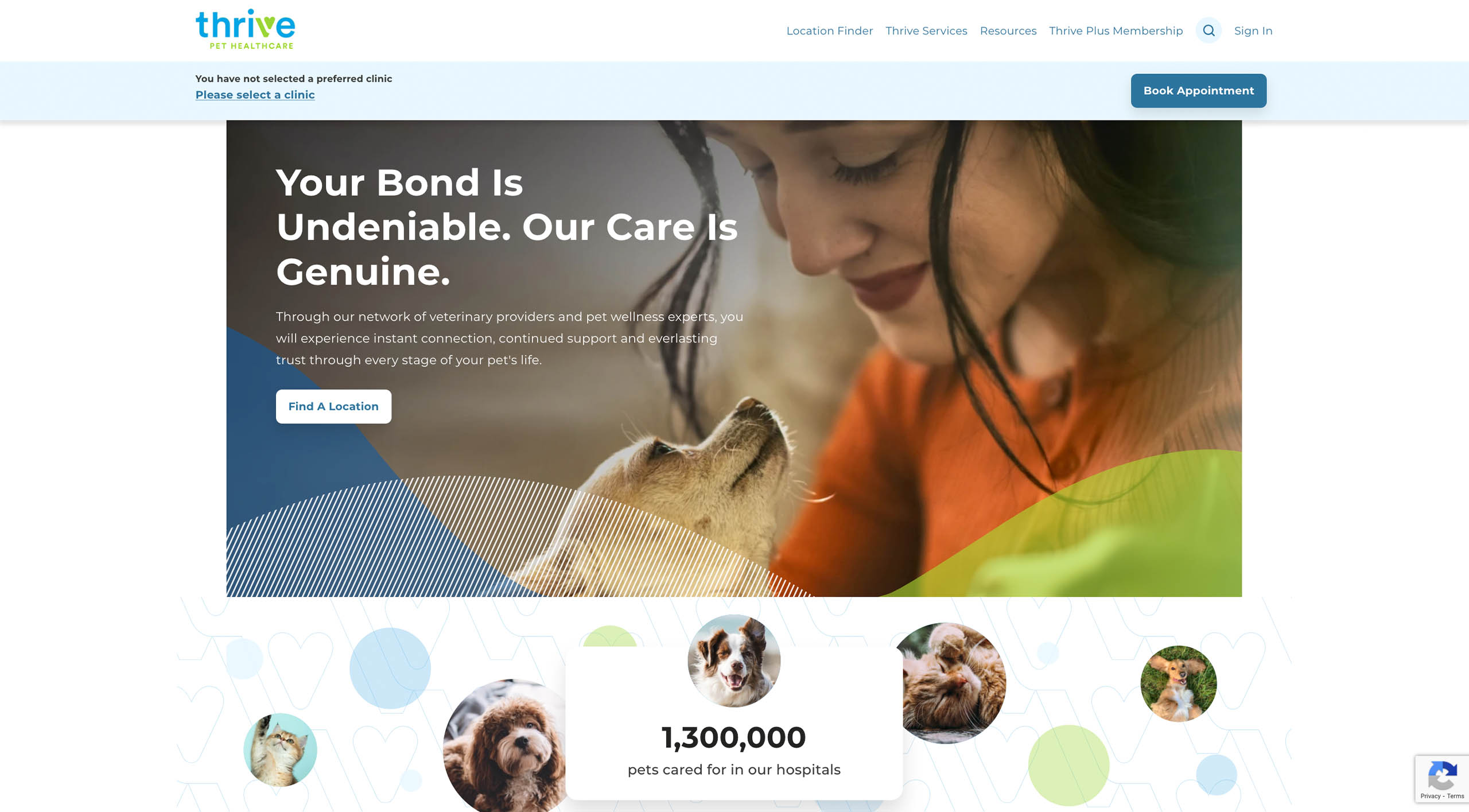 Roll Call North America’s Biggest Veterinary Consolidators and Groups