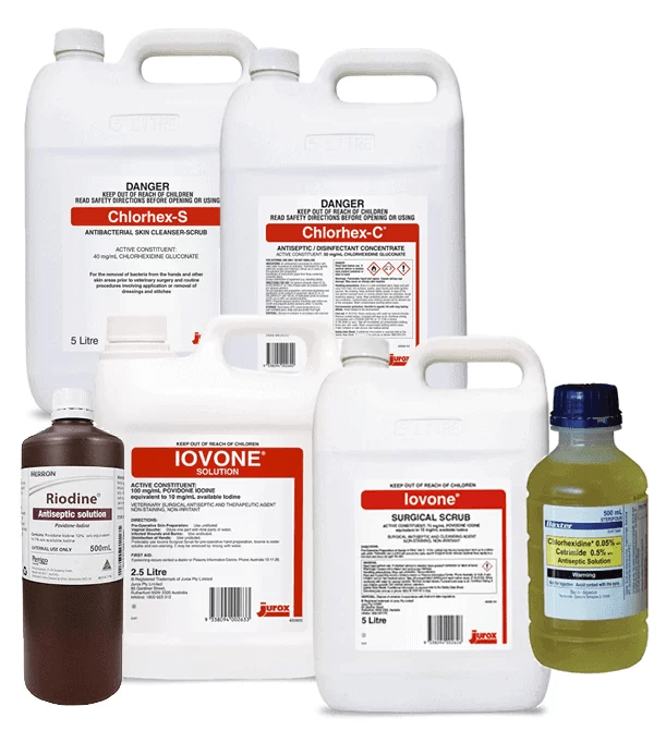 How To Use Chlorhex Scrub For Dogs